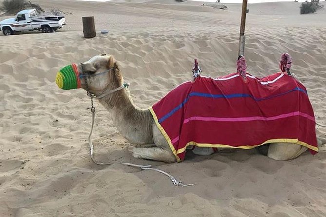 Charming Scenic Dune Safari ! Desert Safari With BBQ Dinner & Camp Activities. - Contact and Pricing Information