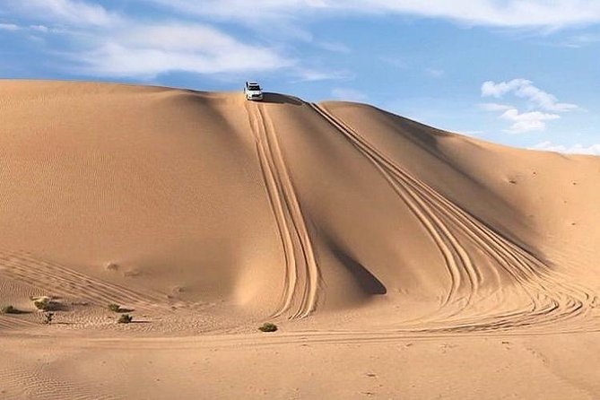Charming Scenic Dune Safari ! Desert Safari With BBQ Dinner & Camp Activities. - The Sum Up
