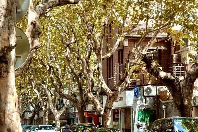 Charming Shanghai French Concession Mini-group Walking Tour - Final Thoughts