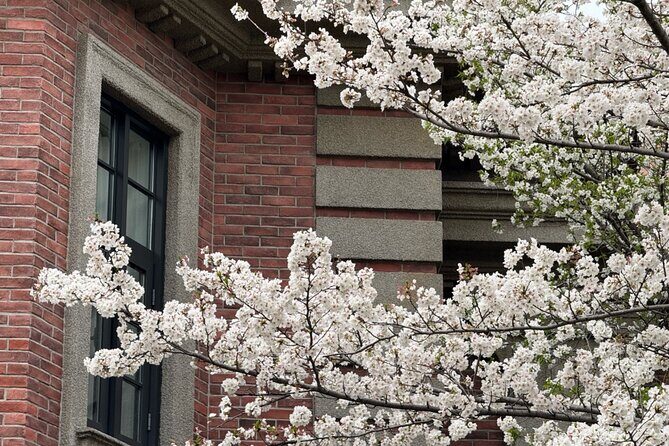 Charming Shanghai French Concession Mini-group Walking Tour - Summary