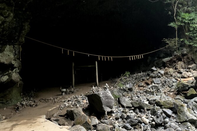 Charter Bus 2 Days Tour to Aso & Kumamoto, Takachiho From Fukuoka - Selecting Date and Travelers