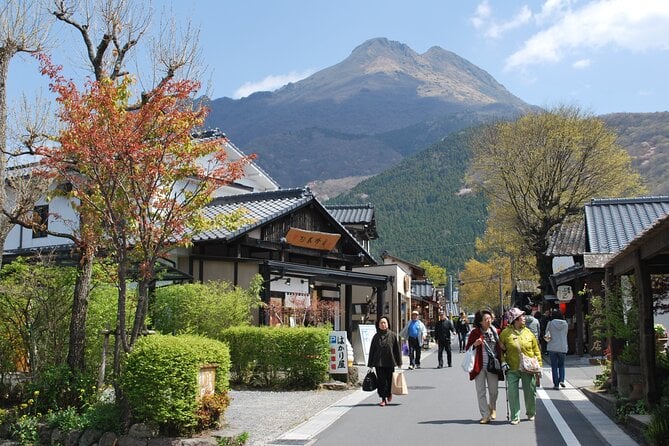 Charter Bus Day Trip to KOKONOE and YUFUIN, BEEPU From Fukuoka - Tour Details