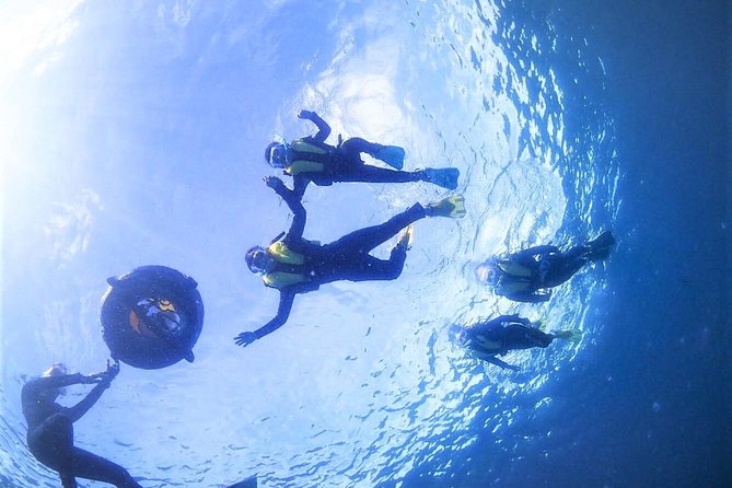 Charter Snorkeling (Near Churaumi Aquarium) Free Photo Gift - Inclusions and Amenities