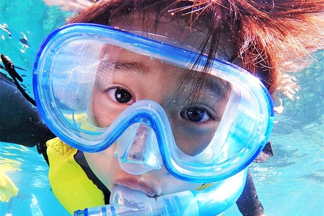 Charter Snorkeling (Near Churaumi Aquarium) Free Photo Gift - Pricing and Terms & Conditions