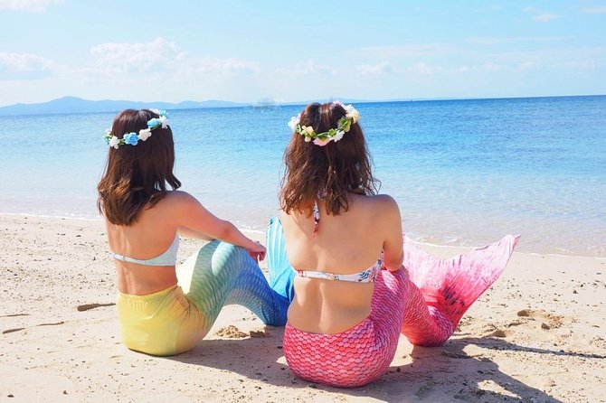 Charter Snorkeling (Near Churaumi Aquarium) Free Photo Gift - Common Questions