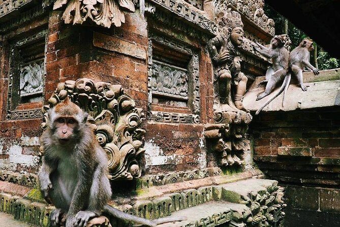 Charter Standard Vehicle with Driver at Bali- 5 Hours Usage - Who Should Book This Experience?