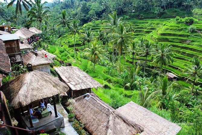 Charter Standard Vehicle With Driver at Bali- 5 Hours Usage - Booking Confirmation Process
