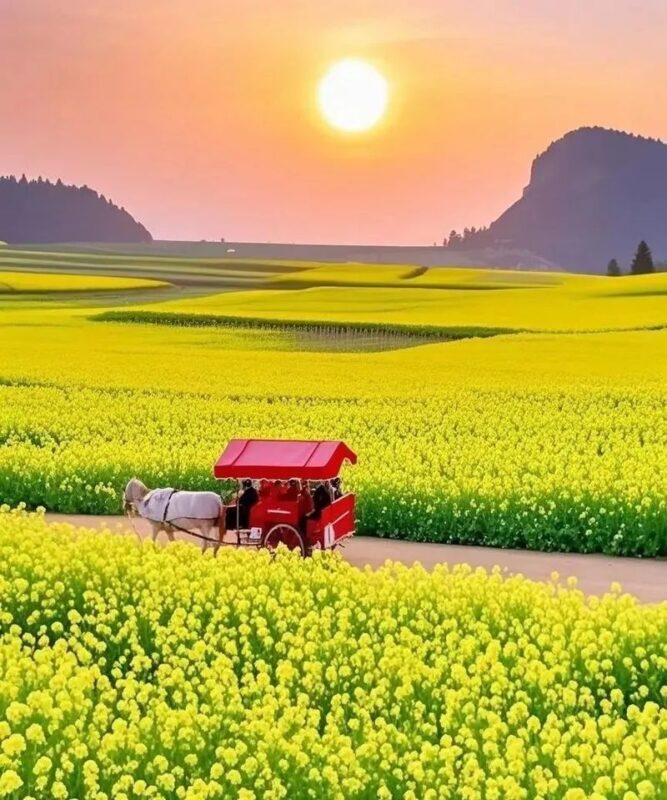 Chartered tour of Kunming, Yunnan + Luoping Canola Flower Sea one-day chartered tour - The Jinji Peak Cluster stop