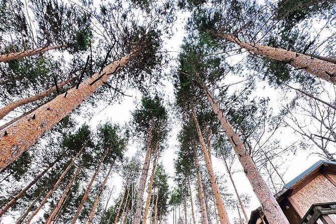 Charyn Canyon and Kolsai Lake Day Adventure from Almaty - Good To Know