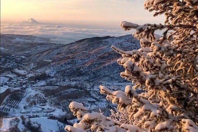 Charyn Canyon and Kolsai Lake Day Adventure from Almaty - The Experience in Detail