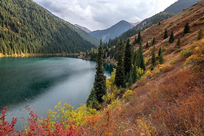 Charyn Grand Canyon and Kolsay Lake Group Tour - Inclusions