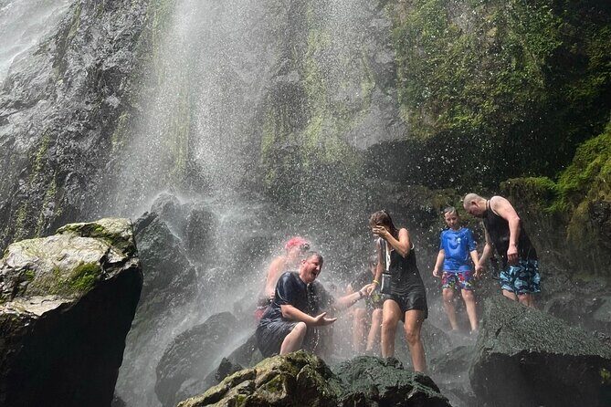 Chase Waterfalls - Discover a hidden 180ft rainforest gem - What’s Included and What to Expect