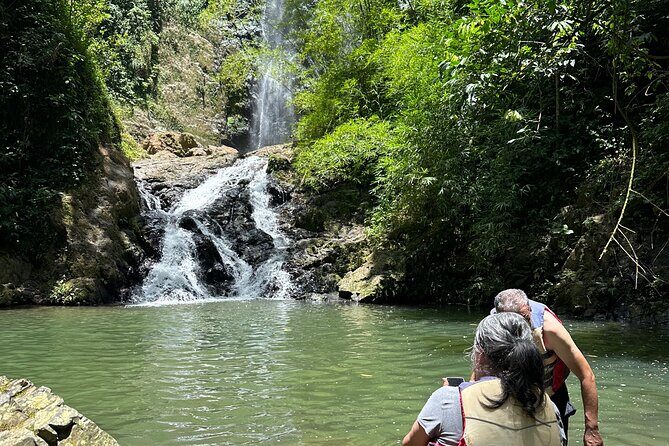 Chase Waterfalls - Discover a hidden 180ft rainforest gem - Authentic Experiences and Reviewer Insights