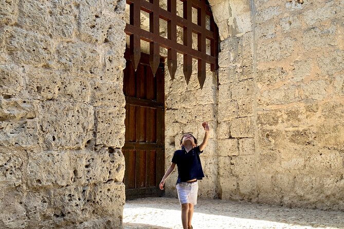Chasing Castles in Segovia From Madrid With Pickup - Tour Overview and Itinerary