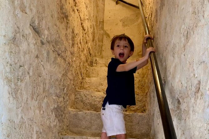 Chasing Castles in Segovia From Madrid With Pickup - Tour Highlights