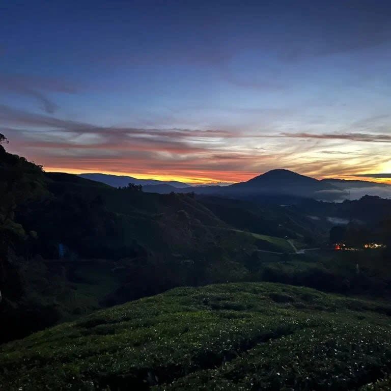 Chasing Dawn - Cameron Highlands Sunrise & Mossy Forest Tour - The useful details at a glance