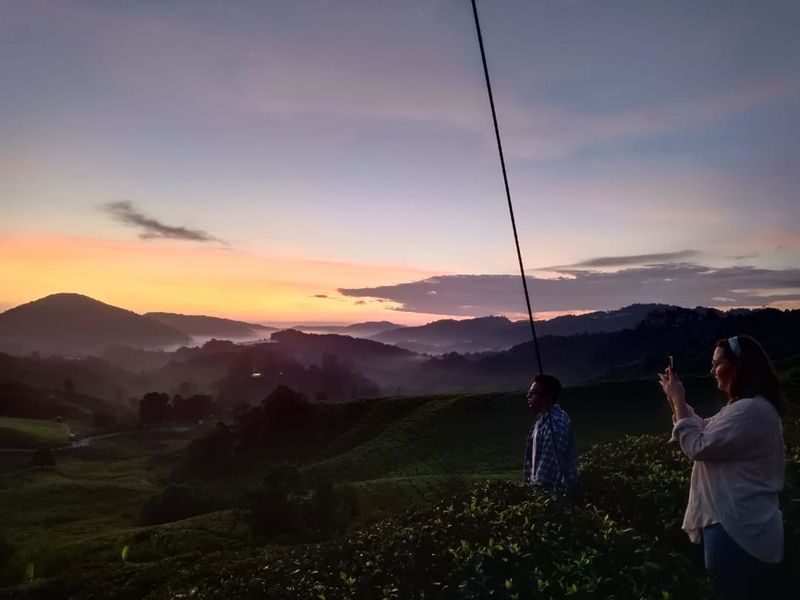 Chasing Dawn - Cameron Highlands Sunrise & Mossy Forest Tour - Dawn over the BOH tea fields