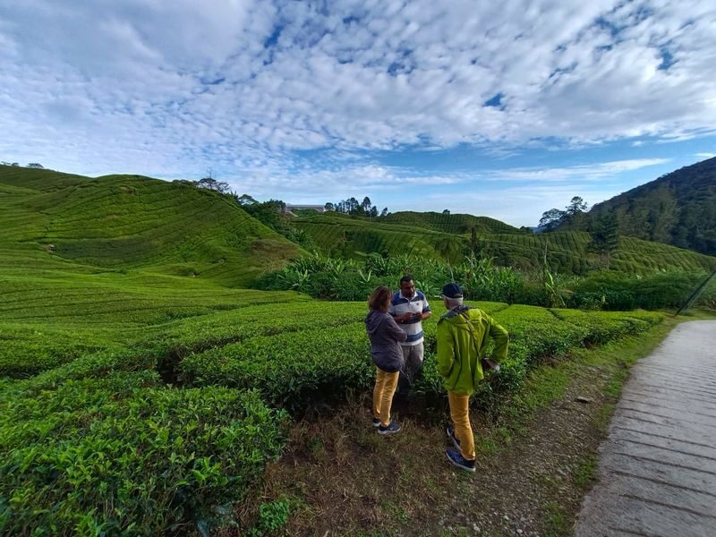 Chasing Dawn - Cameron Highlands Sunrise & Mossy Forest Tour - A morning that depends on the weather