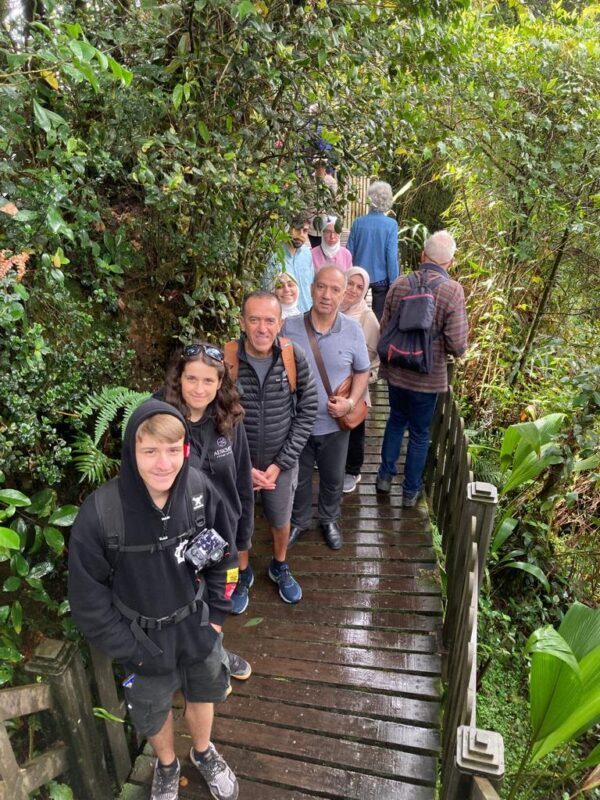 Chasing Dawn - Cameron Highlands Sunrise & Mossy Forest Tour - Who will enjoy this early outing