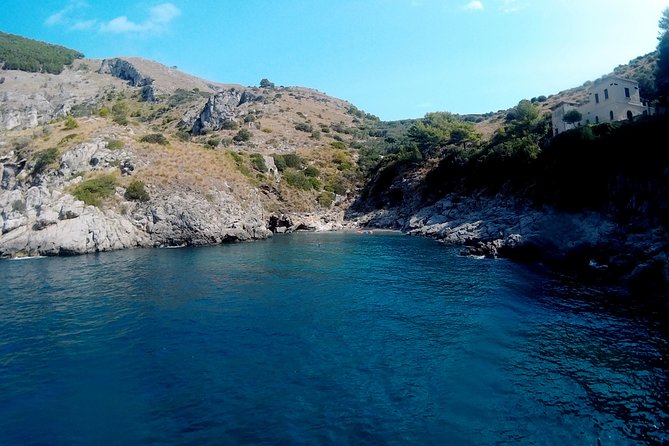 Chasing Syrens Transparent Kayak Tours - Exceptional Service and Overall Experience