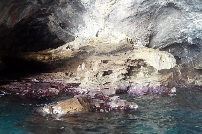 Chasing Syrens Transparent Kayak Tours - Safety Guidelines and Precautions