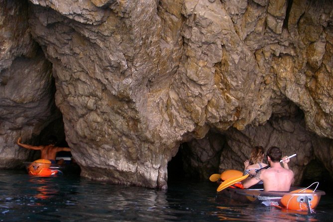 Chasing Syrens Transparent Kayak Tours - Tips for a Memorable Kayak Tour