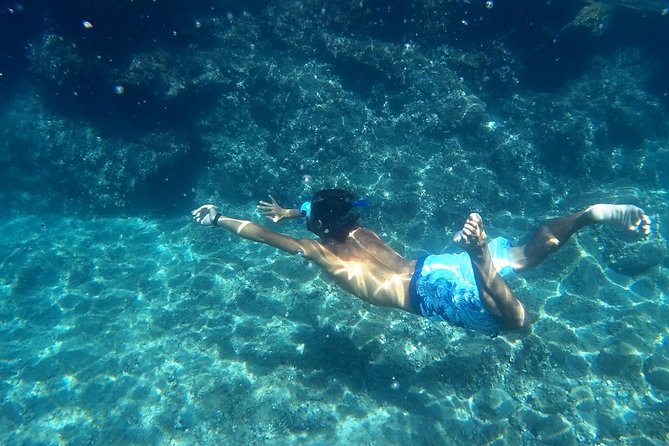 Chasing Syrens Transparent Kayak Tours - Common Questions (FAQs)
