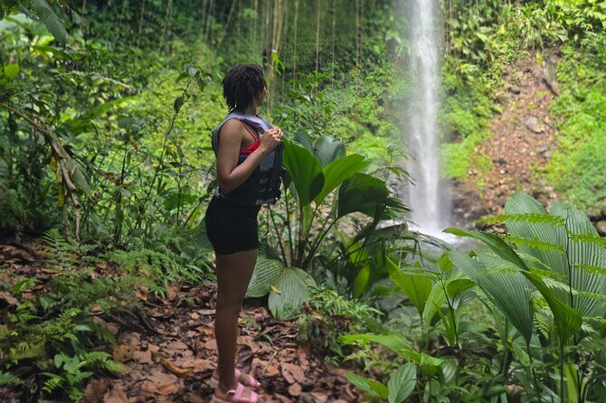 Chasing Waterfalls Dominica - FAQs
