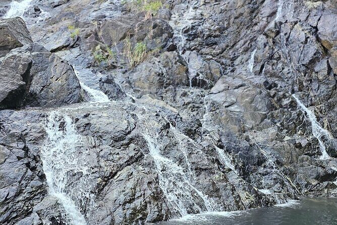 Chasing Waterfalls Experience in Tobago - Good To Know