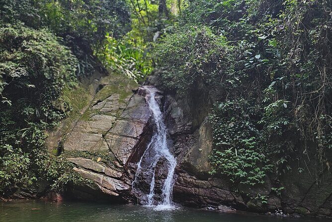 Chasing Waterfalls Experience in Tobago - What’s Included and What to Consider