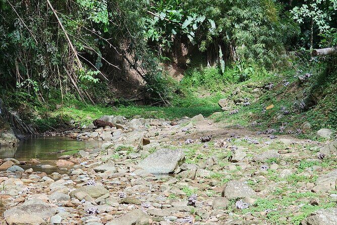 Chasing Waterfalls Experience in Tobago - FAQ