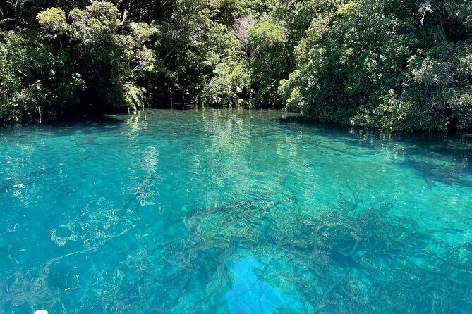 Chasing Waterfalls The Adventurer from Kinloch Marina - FAQ
