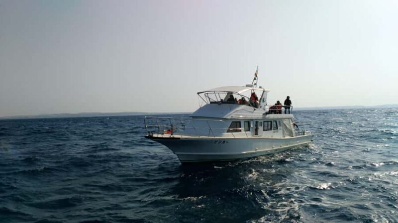 Chatan: FullDay Snorkeling in Kerama National Park - Final Thoughts: Is It Worth It?