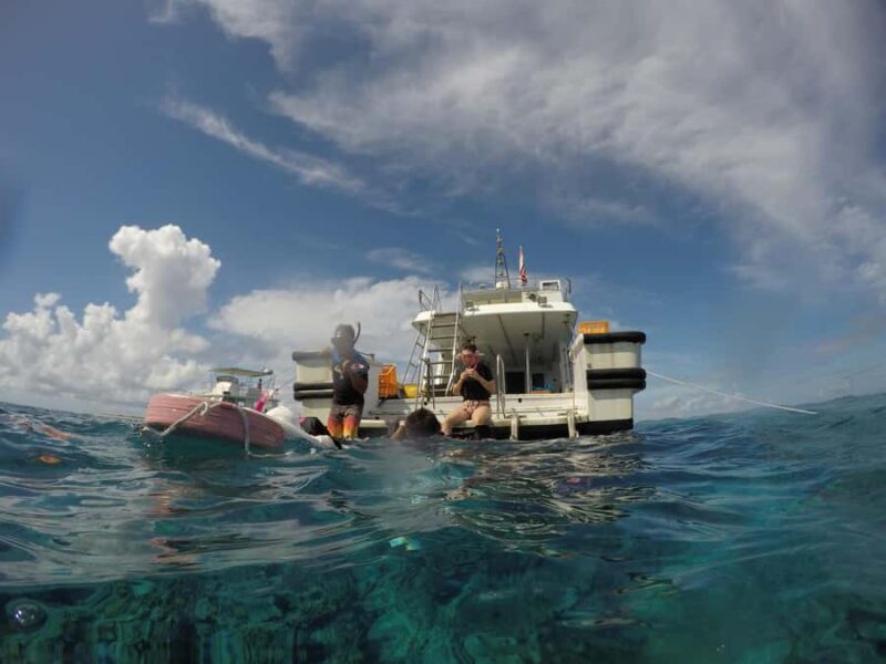 Chatan: FullDay Snorkeling in Kerama National Park - Good To Know