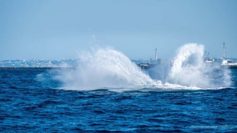 Chatan: Okinawa Whale Watching - FAQ
