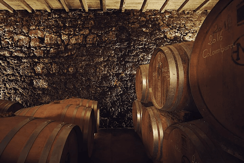 Château Arton Guided Tour and Armagnac Tasting - Good To Know