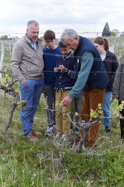Château Arton Guided Tour and Armagnac Tasting - Unique Selling Points