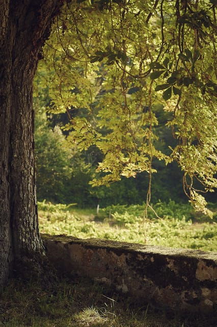 Château Arton Guided Tour and Armagnac Tasting - Visitor Information