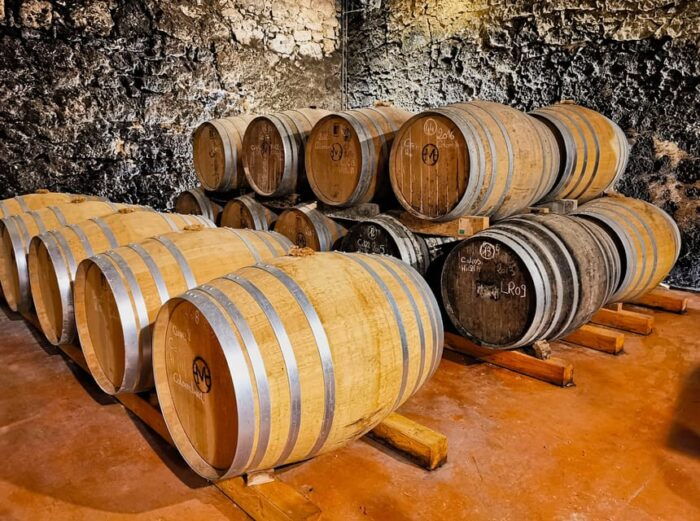 Château Arton Guided Tour and Armagnac Tasting - The Vineyards and Biodynamic Practices