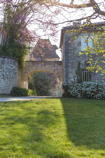 Château Arton: The Secrets of Haut-Armagnac Experience - Armagnac Production Insights