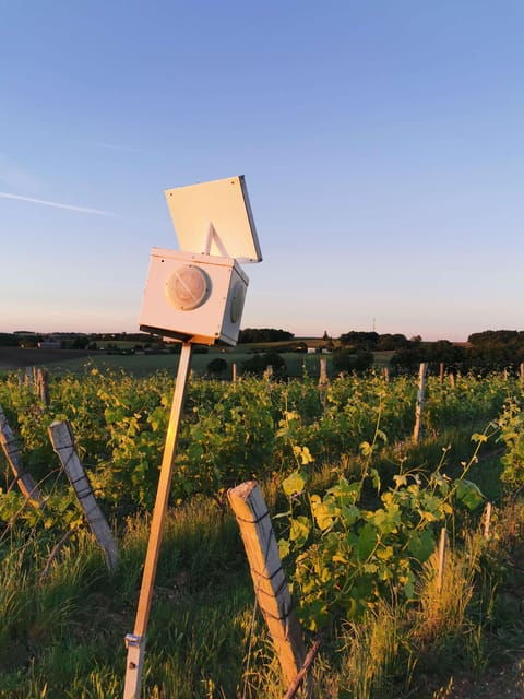Château Arton: The Secrets of Haut-Armagnac Experience - Customer Feedback