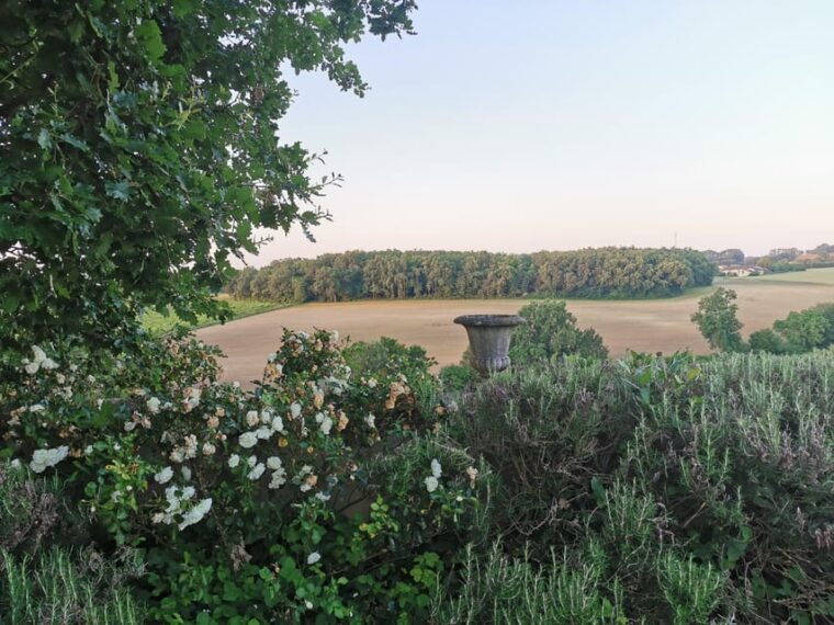 Château Arton Vineyard Tour and Tasting - Permaculture and Biodynamic Principles