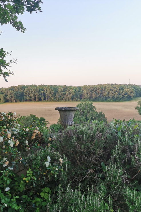 Château Arton: VISIT AND WINE TASTING - Key Points