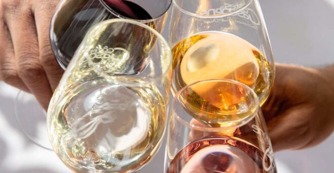 Château Arton: VISIT AND WINE TASTING - Guided Tour Insights