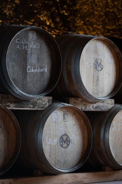 Château Arton: VISIT AND WINE TASTING - Wine Tasting Experience