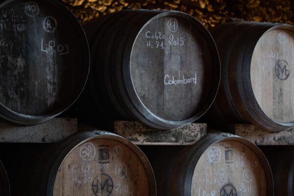 Château Arton: VISIT AND WINE TASTING - Tips for Visitors
