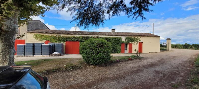 Château Cantelaube: tour and tasting at an unusual wine estate - Château Cantelaube: tour and tasting at an unusual wine estate