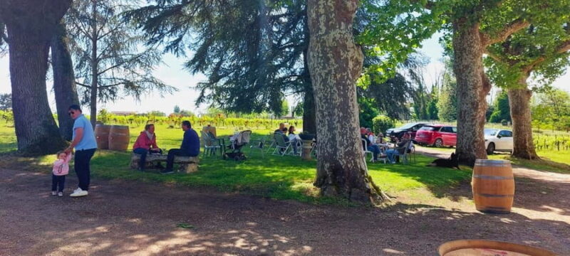Château Cantelaube: tour and tasting at an unusual wine estate - Good To Know