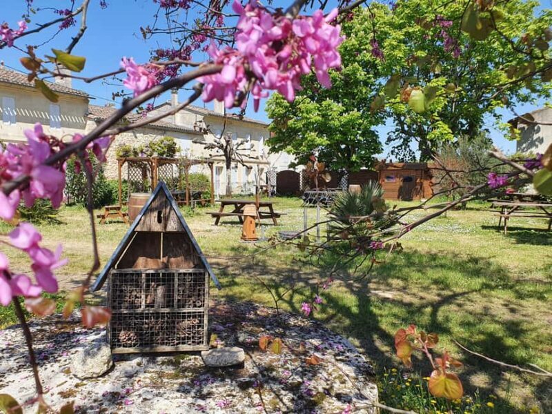 Château Champion: Picnic at the winemaker's - A Close Look at Château Champion’s Picnic Experience