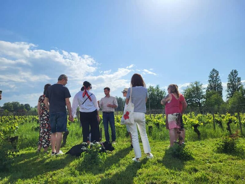 Château Champion: Tour and tasting with tapas - The Itinerary Breakdown: What to Expect